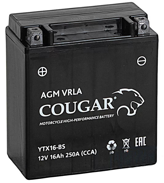 Аккумулятор мотоциклетный COUGAR AGM VRLA 12V16 YTX16-BS 16 Ач