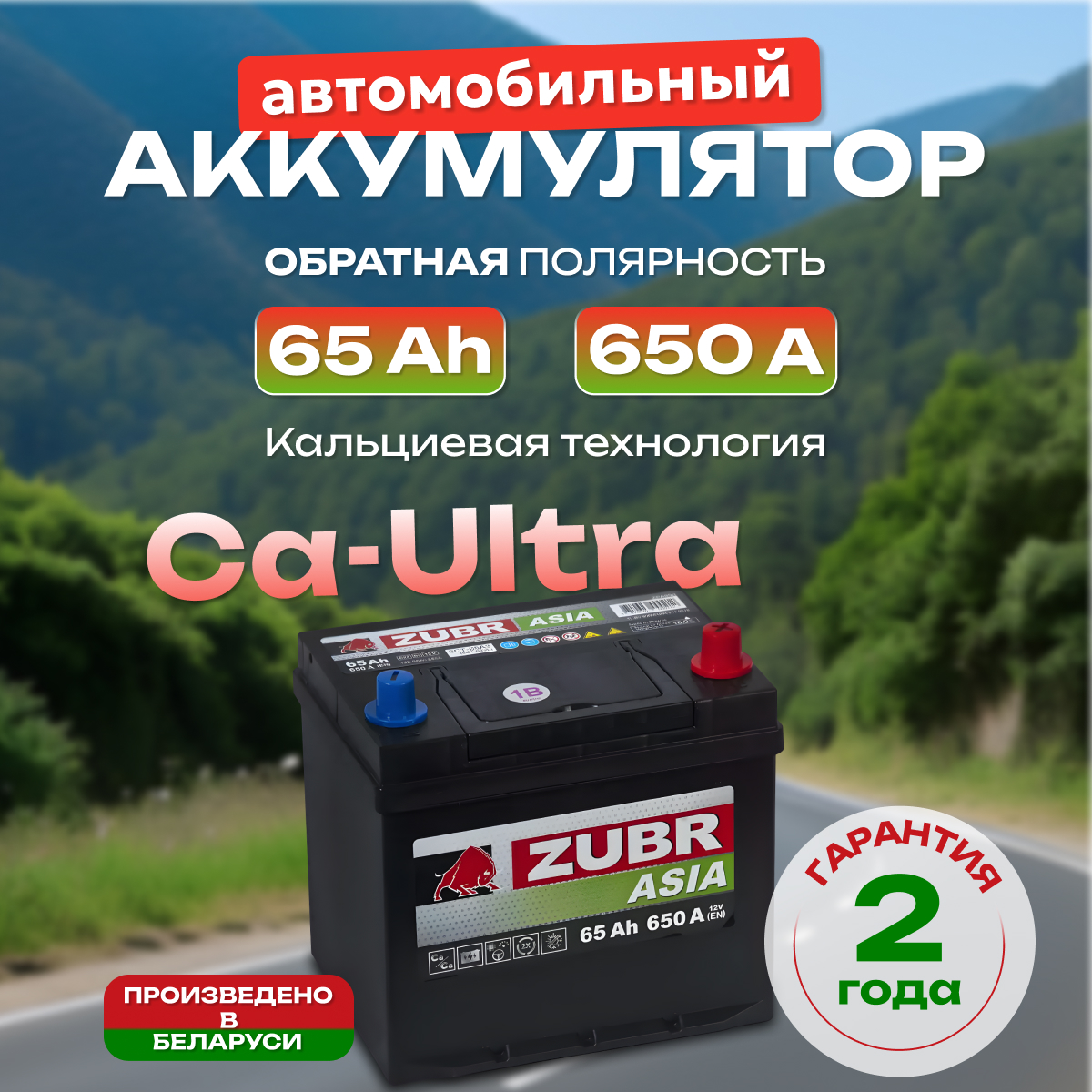 Аккумулятор автомобильный ZUBR Premium Asia 65.0 Ah 650 A ОП (230x170x225) с бортиком D23l