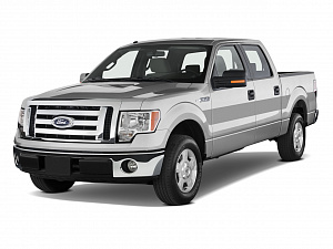 Аккумуляторы для Ford F-150 Serie 12 Pick-up SuperCrew 2008-2014