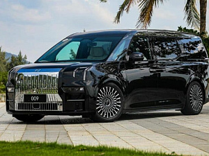 Аккумуляторы для Zeekr 009 Minivan 2022-2024