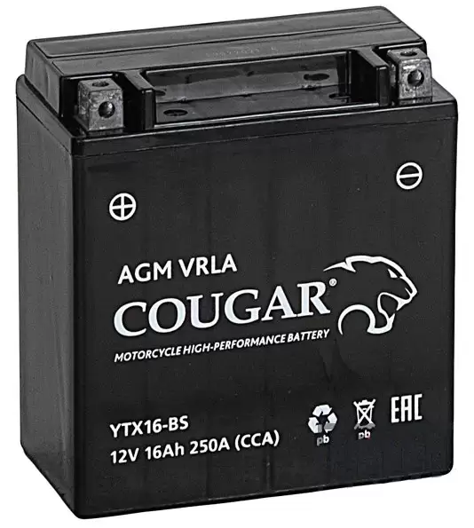 Аккумулятор мотоциклетный COUGAR AGM VRLA 12V16 YTX16-BS 16 Ач