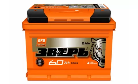 Аккумулятор автомобильный ЗВЕРЬ EFB 60.1 Ah 640А ПП (242x175x190) L2